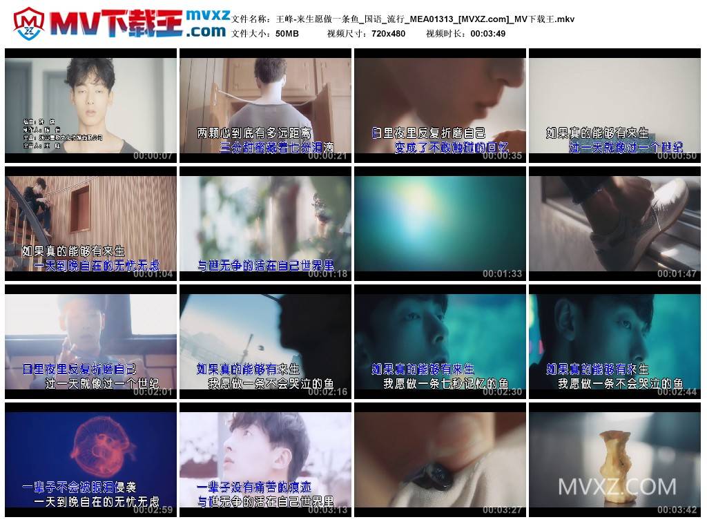 王峰-来生愿做一条鱼_国语_流行_MEA01313